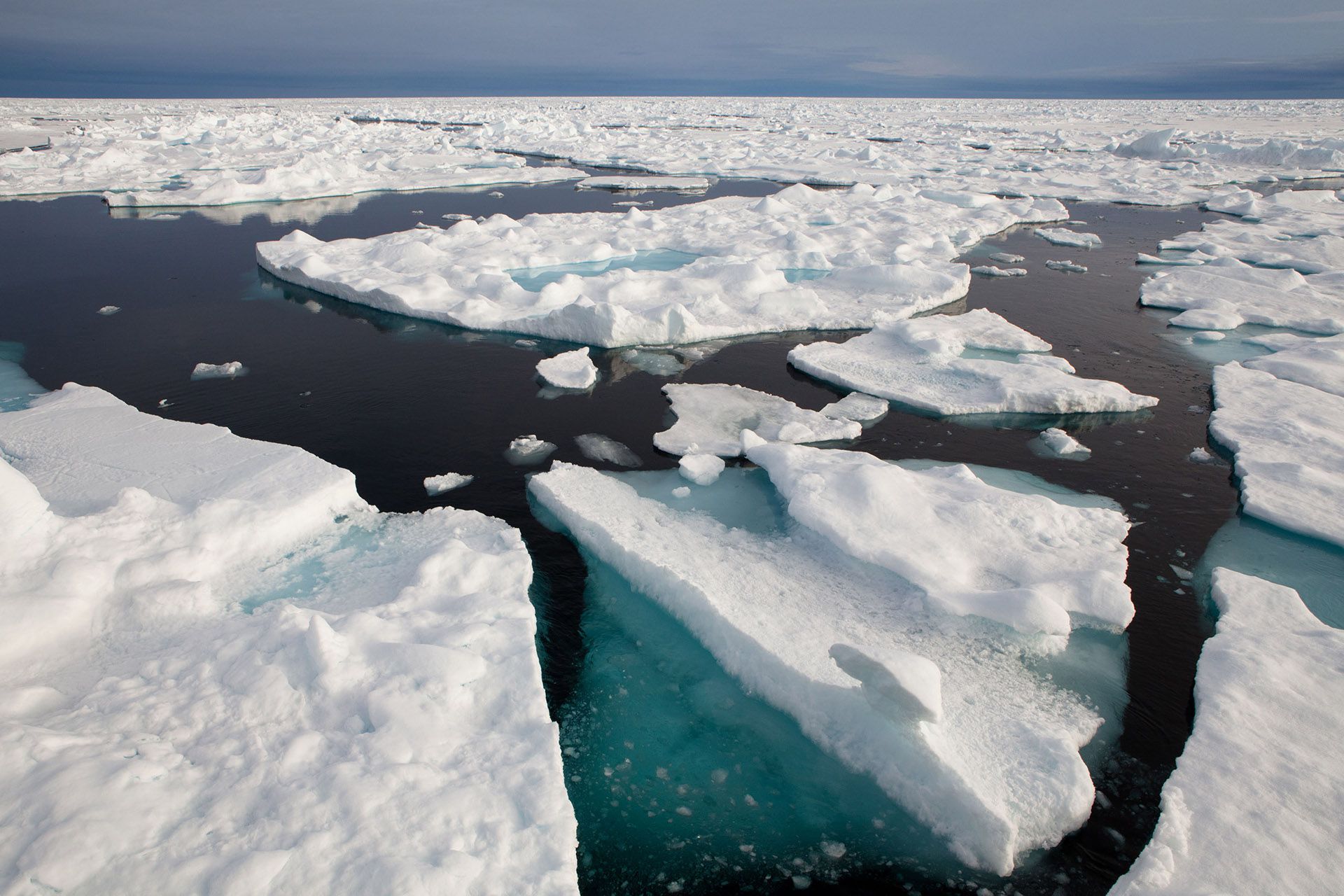 Una vista del hielo marino del Ártico. © Greenpeace / Alex Yallop