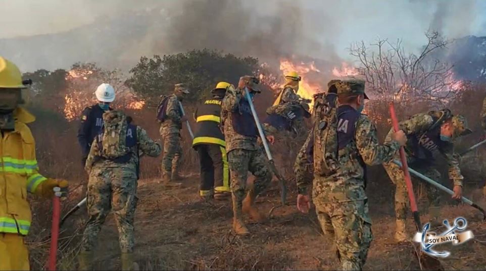 Rectifican que son dos y no tres muertos por incendios en Baja California
Foto: Twitter
