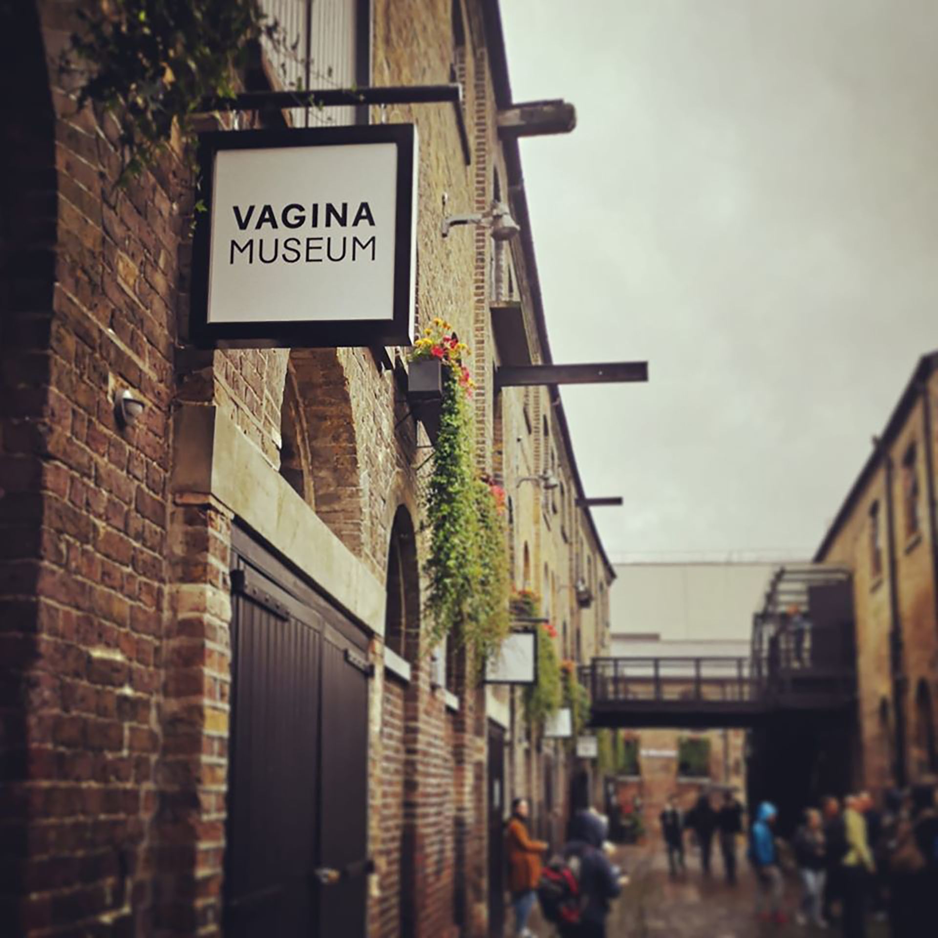 (Museo de la vagina)