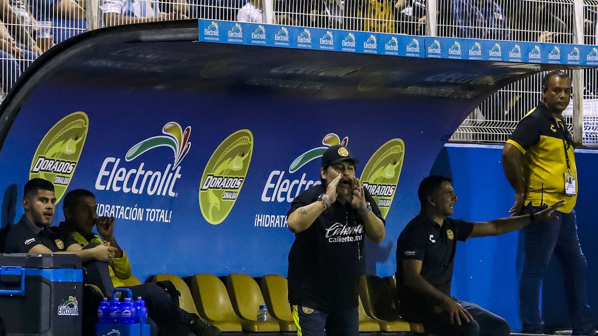 Dorados se encuentra en busca de un técnico, tras la salida del sucesor de Maradona, José "Profe" Cruz (Foto: Rashide Frias/ AFP)