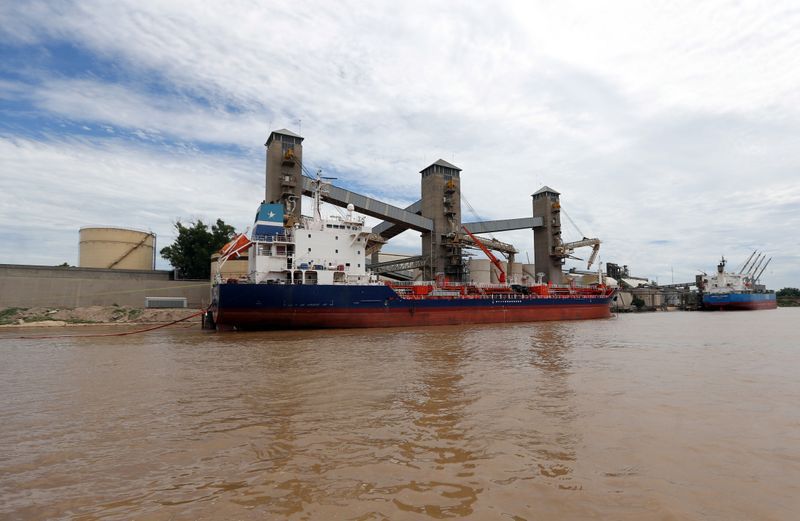 Foto de archivo: Granos argentinos son cargados a barcos para exportar desde un puerto en el río Paraná, cerca de la ciudad de Rosario, en la provincia de Santa Fe, Argentina. 31 ene, 2017. REUTERS/Marcos Brindicci