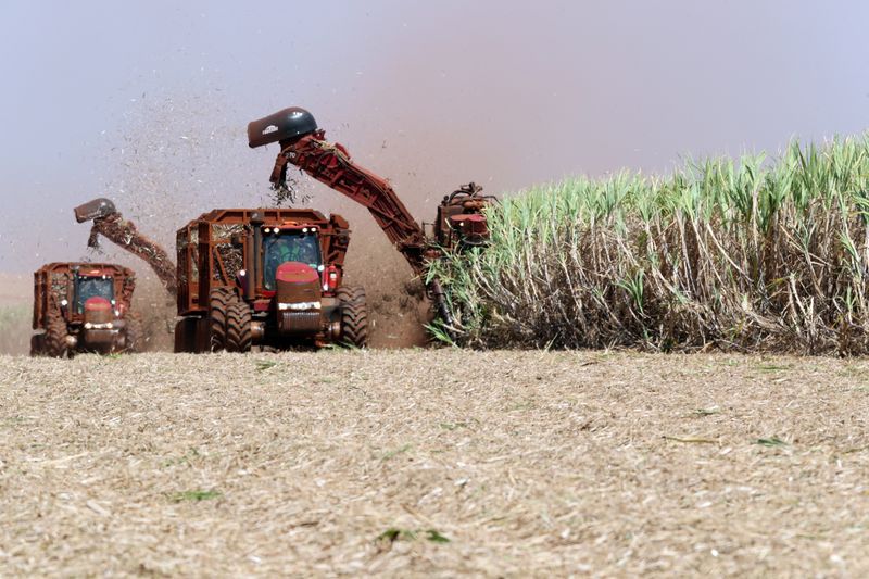 Imagen de archivo de operaciones de cosecha de caña de azúcar en un campo de la azucarera Sao Martinho en Pradópolis, Brasil. 13 septiembre 2018. REUTERS/Paulo Whitaker