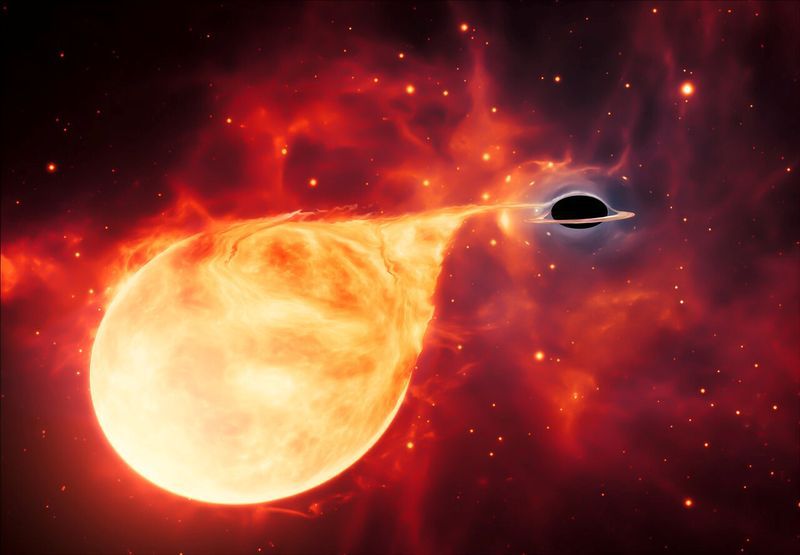 Impresión artística de una estrella que es consumida por un agujero negro de masa intermedia, rodeado por un disco de acrecimiento, obtenida por Reuters el 2 de abril, 2020. ESA/Hubble, M. Kornmesser/Handout via REUTERS.