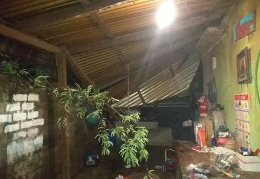 Un árbol cayó en el techo de una casa de la comunidad de la Y Griega. Foto: El Sur