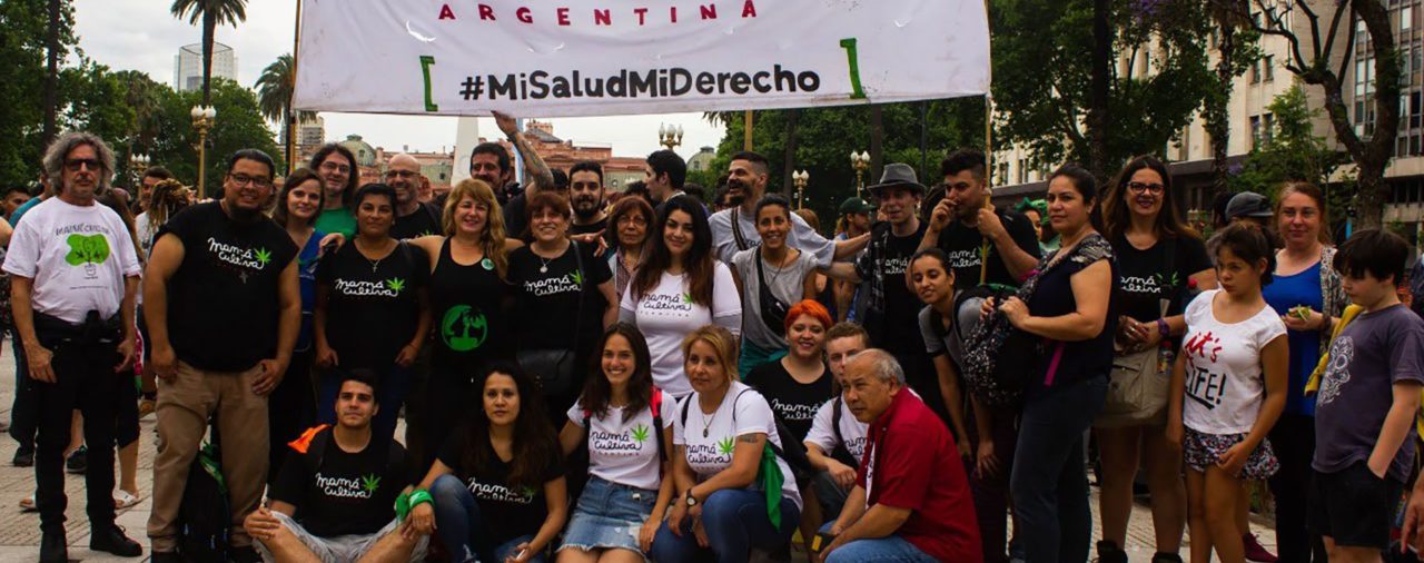 Mamá Cultiva le pidió a Alberto Fernández y a Cristina Kirchner que regulen el autocultivo del cannabis: “Estamos en emergencia, nuestro dolor no espera”