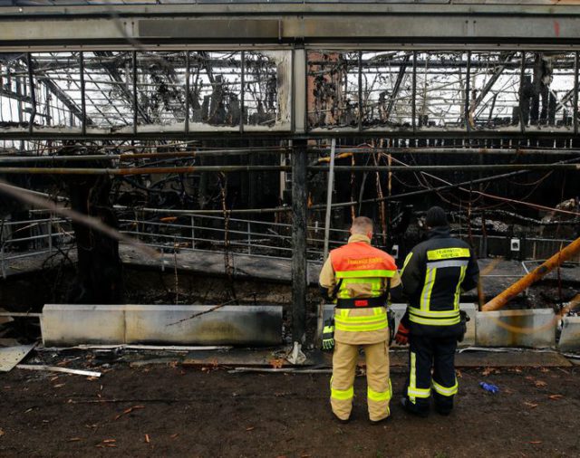Decenas de animales mueren en el incendio de una jaula de monos en un zoológico de Alemania