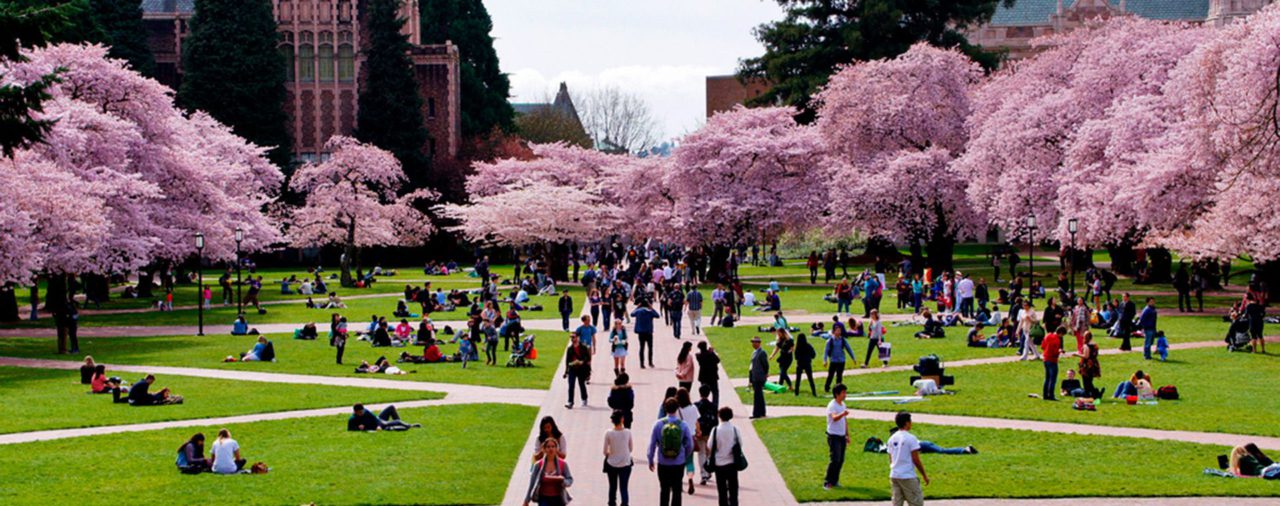 La Universidad de Washington canceló sus clases presenciales por el coronavirus