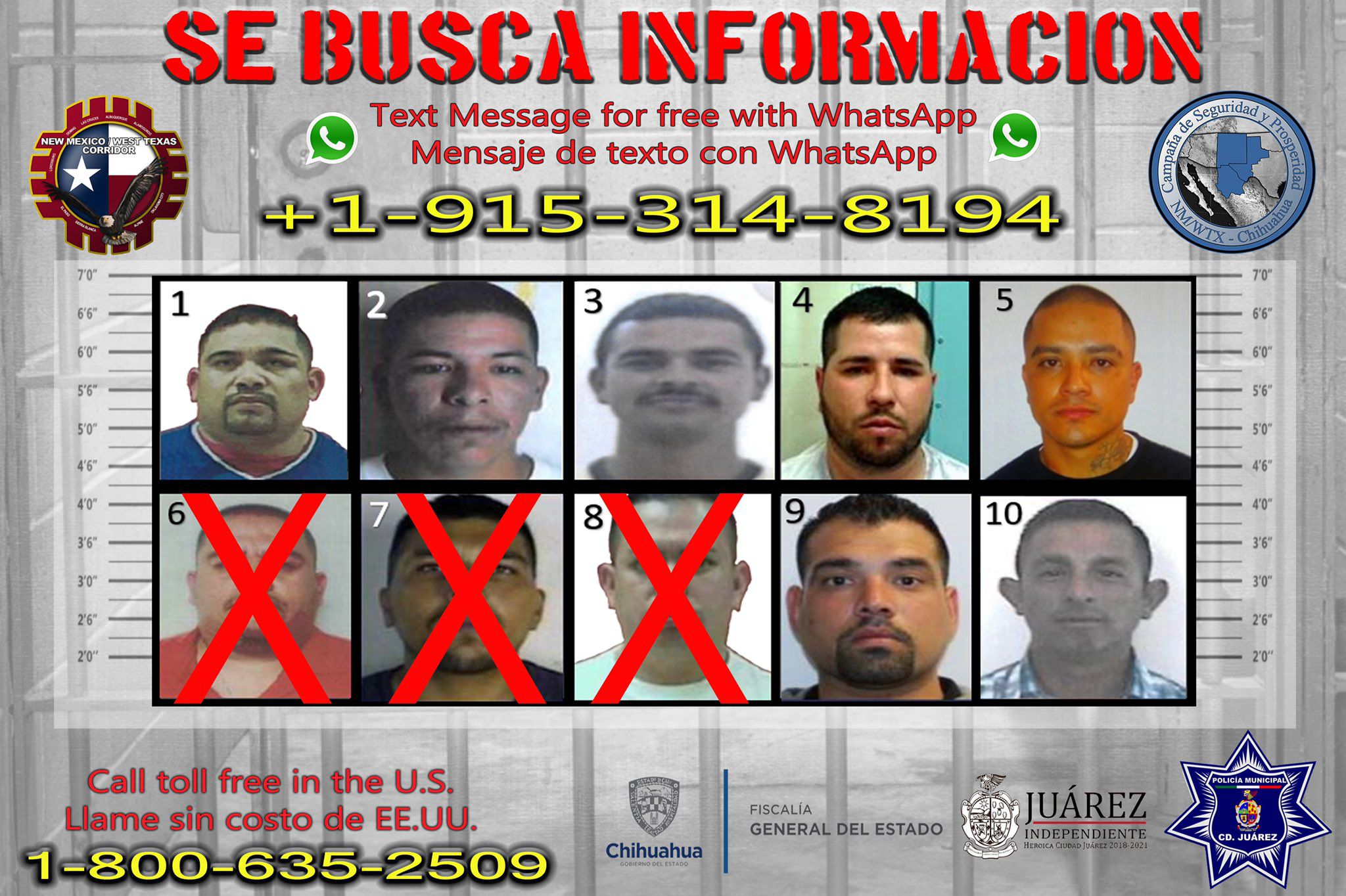 Información conjunta del gobierno de México y Estados Unidos logró la detención de Gustavo Sosa Álvarez, alias "El Tavo"