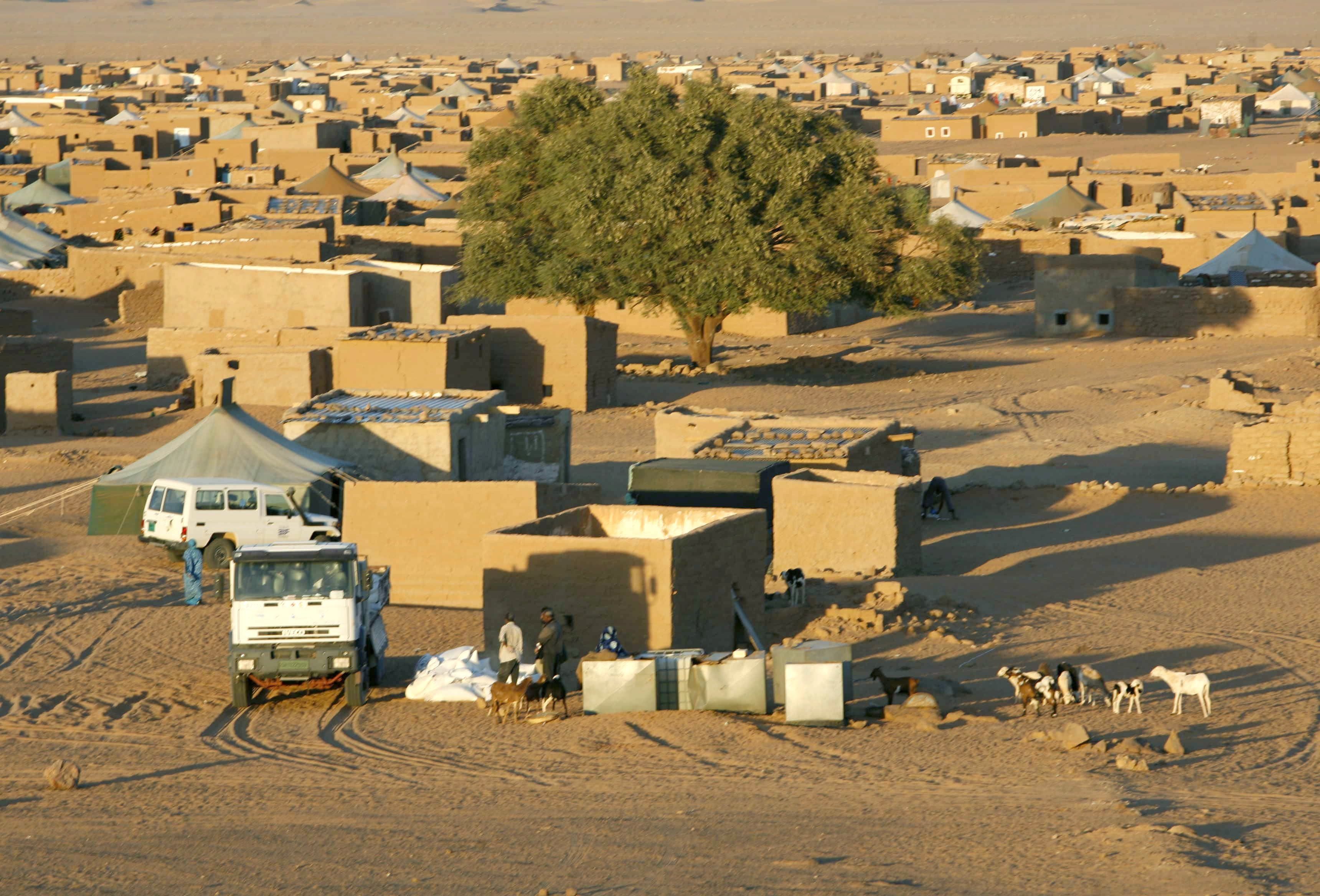 Vista general del campo de refugiados de Dajla, el más alejado de los asentamientos saharauis de Tinduf (Argelia). EFE/Toni Garriga/Archivo 