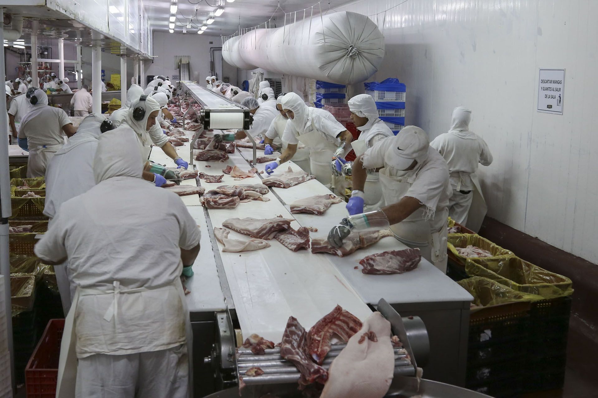 Las exportaciones de productos y subproductos porcinos tuvieron un crecimiento del 49% con 18.483 toneladas embarcadas Fotos: Augusto Famulari