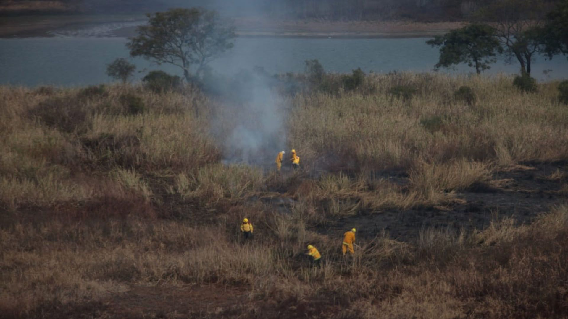 Emergencia ambiental por las quemas en el delta