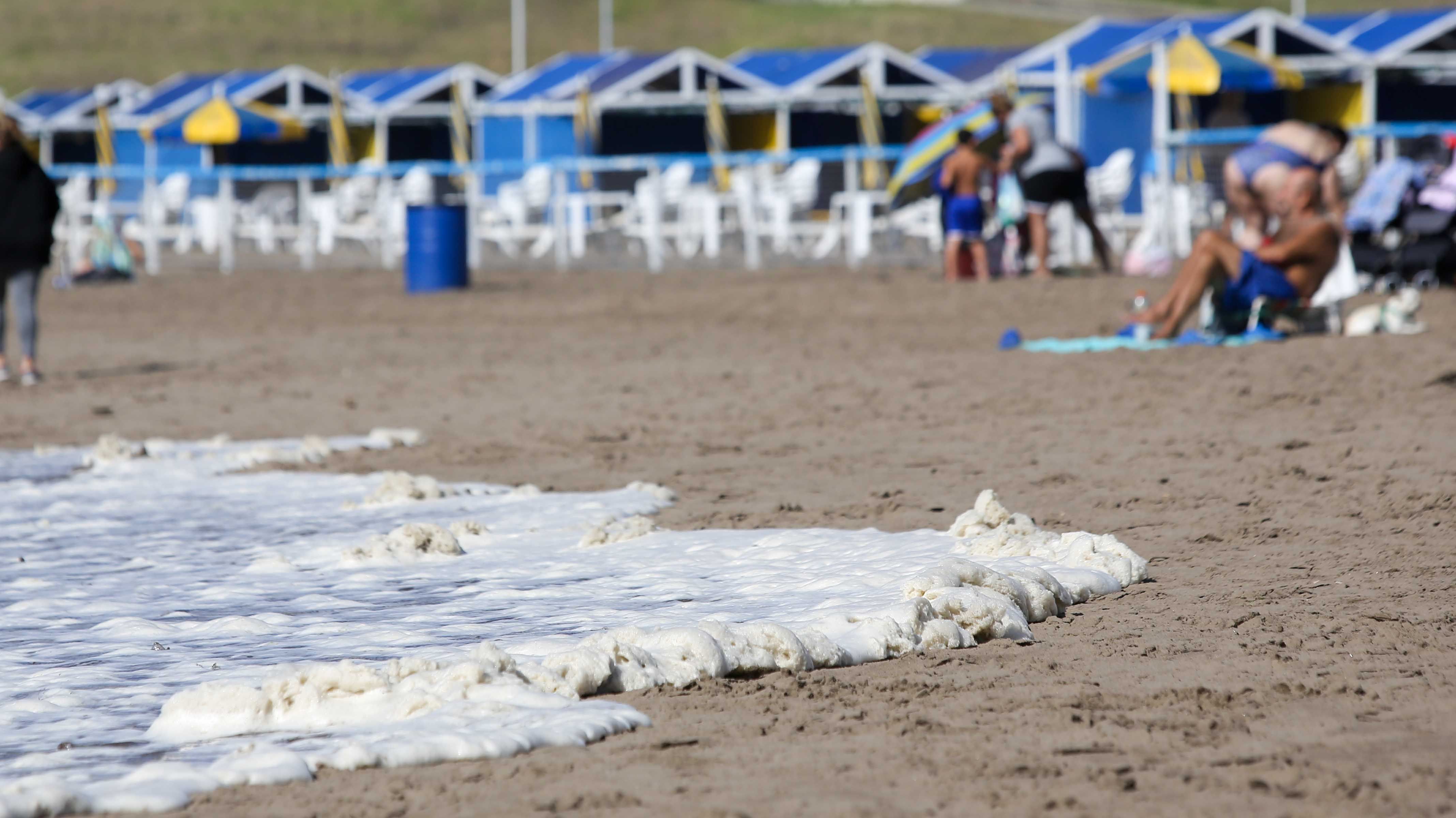 - Mar del Plata - una densa espuma marina cubrió las playas