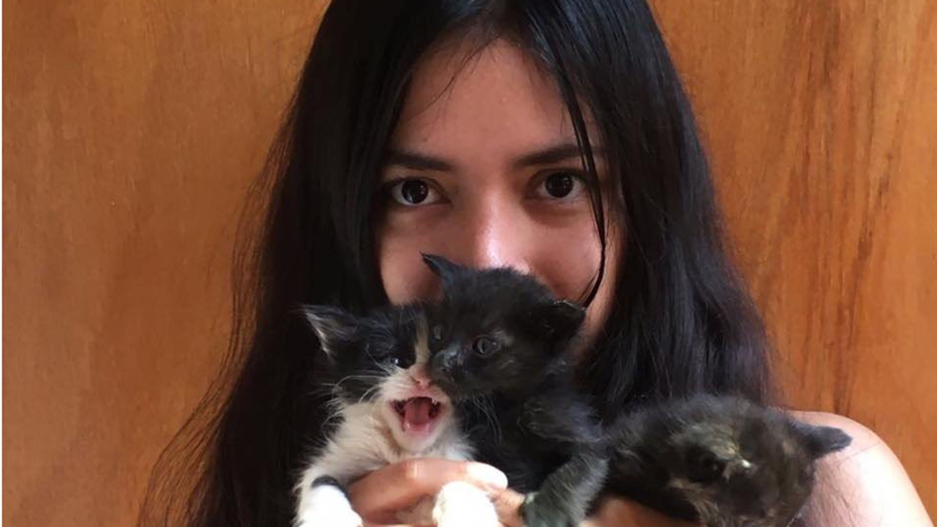 Thalía Tetecatl la veterinaria que rescata gatos bebés abandonados en México