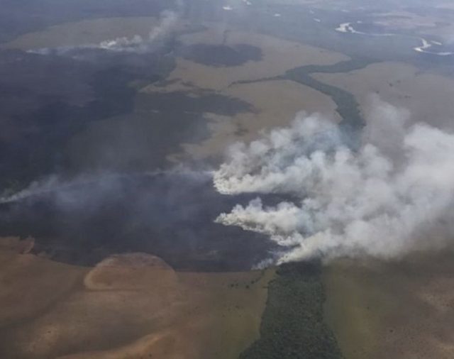 MinAmbiente lidera acciones en el Parque Nacional El Tuparro para controlar incendios