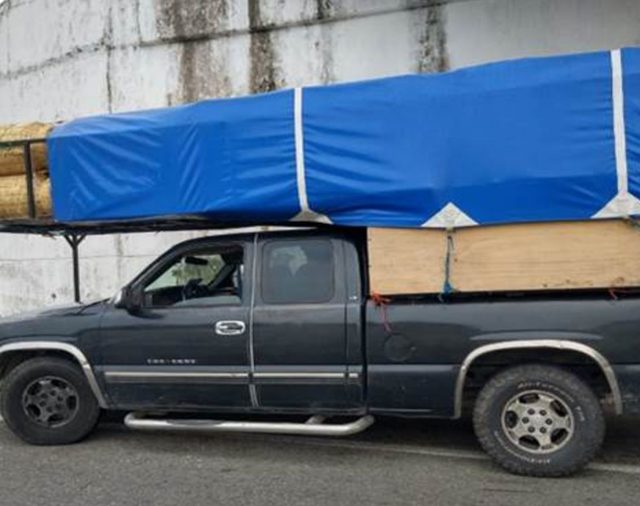 Pedían auxilio por el calor: rescataron en Veracruz a 12 migrantes guatemaltecos que viajaban hacinados en una camioneta