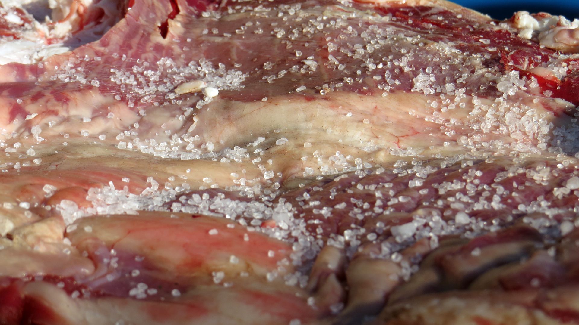 Marinar la carne previene las reacciones químicas negativas (Foto: Archivo)