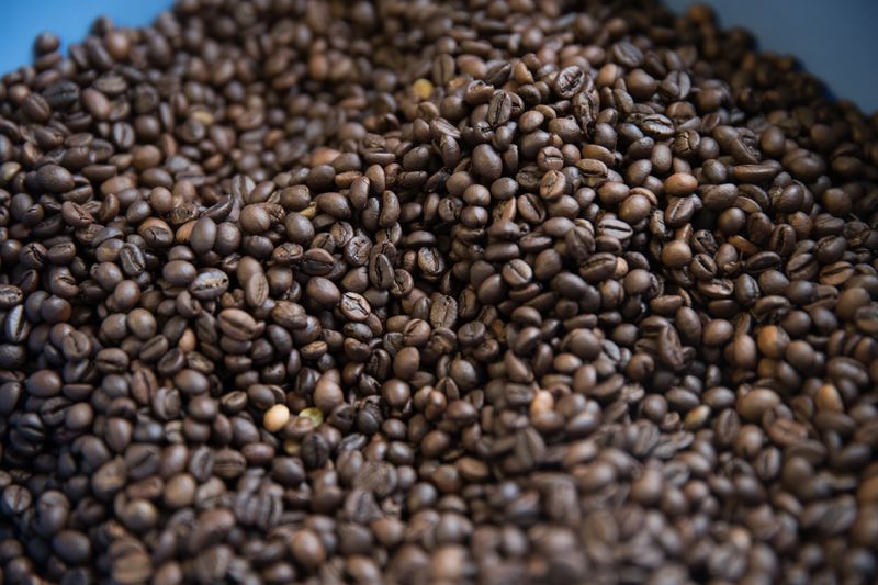 Imagen de archivo de granos de café en una planta de Segafredo Zanetti en Sotteville-les-Rouen, Francia, 1 de febrero de 2017. REUTERS/Philippe Wojazer