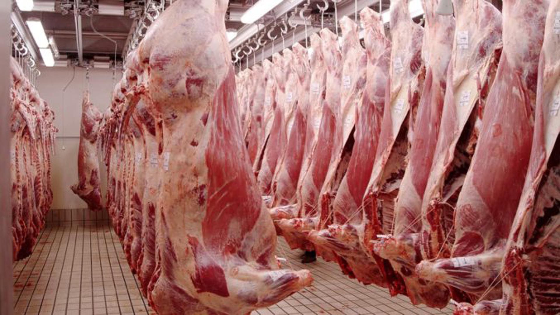 El Gobierno anunció mayores requisitos para la exportación de carne vacuna