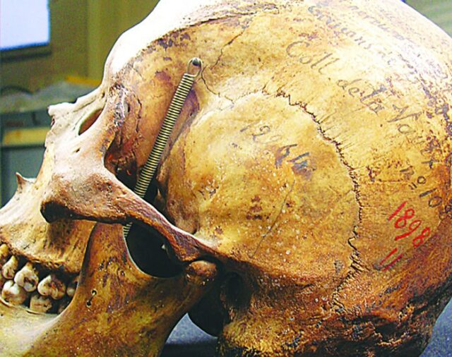 Francia devolverá a la Argentina los restos de un tehuelche que se exhibían en un museo