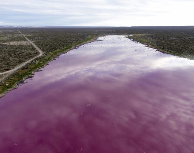 Unos desechos pesqueros tiñen de rosa unas lagunas en la Patagonia argentina