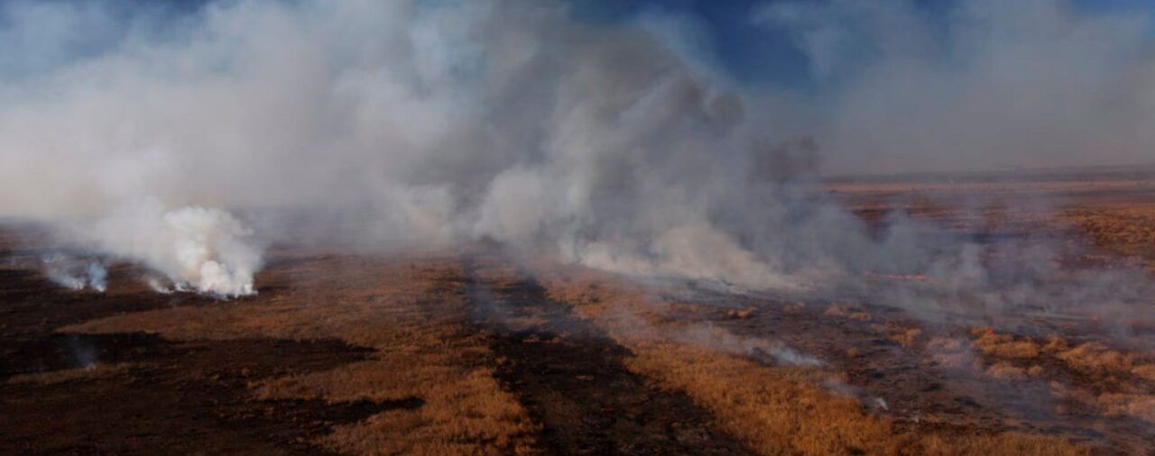 El pedido de las autoridades en medio de los incendios en las islas del Delta del Paraná