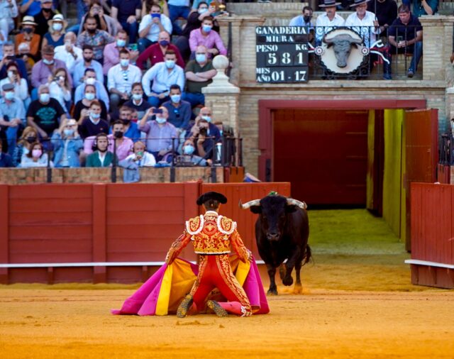 España.- PP y Vox, contrarios a la exclusión de los toros en el bono cultural joven, auguran el fracaso de la medida