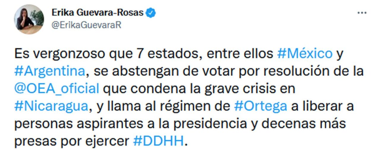 La directora regional de Amnistía Internacional cuestionó el voto argentino en la OEA por Nicaragua