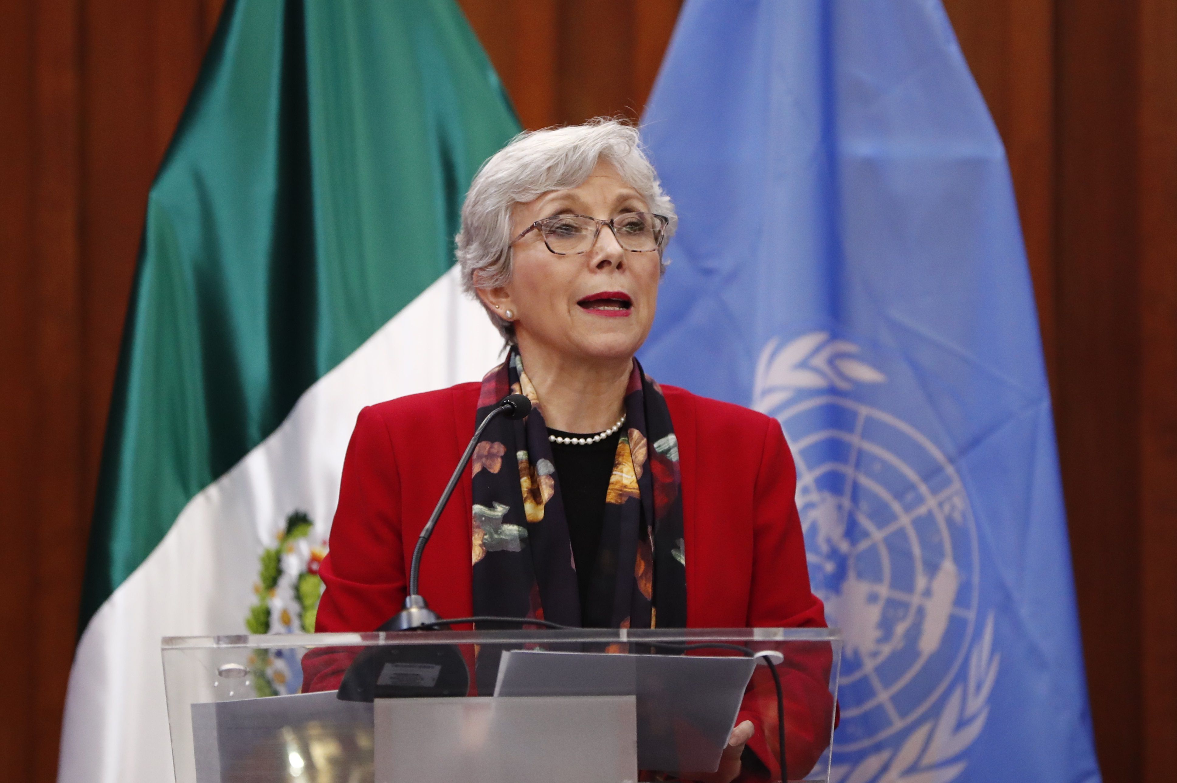 La presidenta del comité contra la desaparición forzada(CED),Sra Carmen Rosa Villa, habla hoy durante una conferencia de prensa en Ciudad de México (México). EFE/José Méndez 
