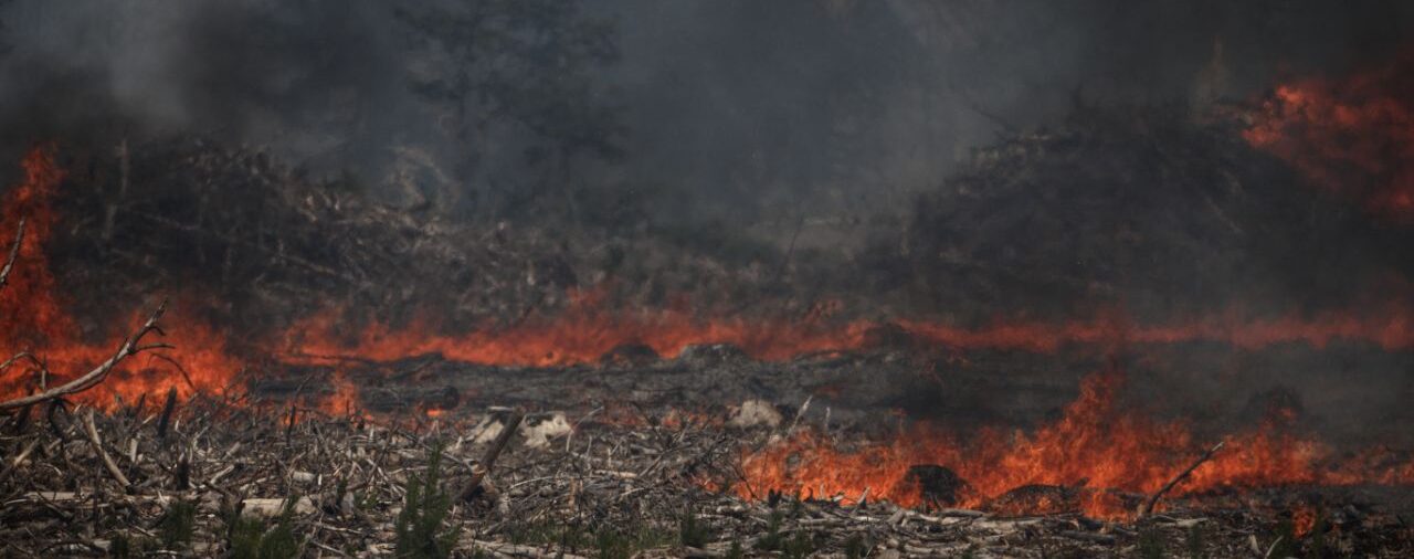 El pedido de ayuda urgente de los vecinos de cuatro regiones de Río Negro al Gobierno ante el avance de los incendios en la zona