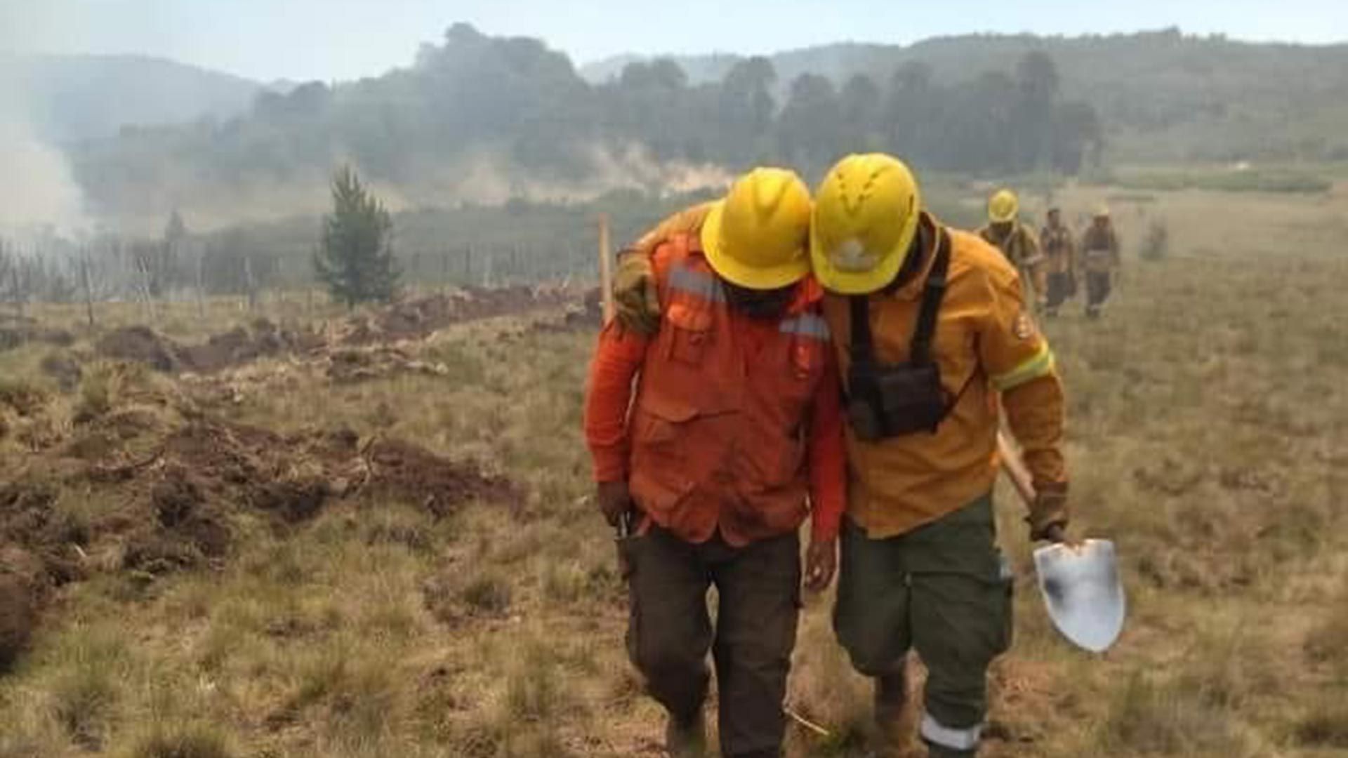 Incendio forestal en Quillén, provincia de Neuquén
