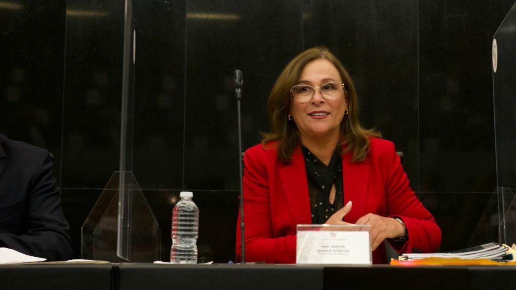 Rocío Nahle Sener Senador