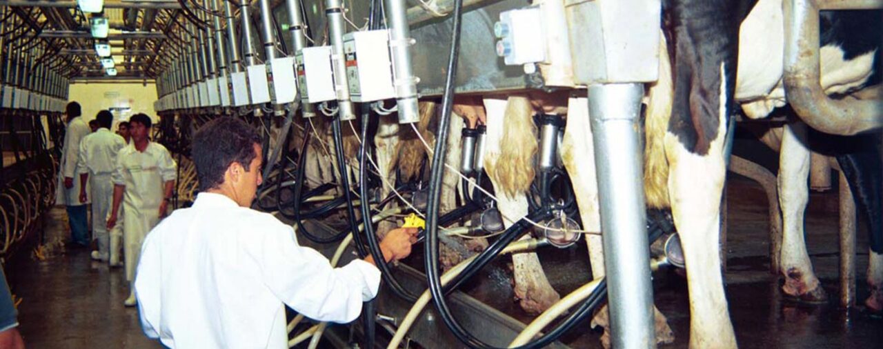 Tamberos de Santa Fe reclaman un aumento en el precio de la leche para compensar la sequía y la falta de política oficial