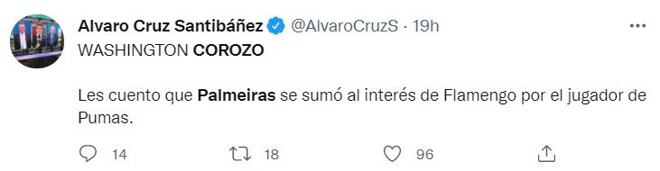 Alvaro Cruz Santibáñez, periodista de TUDN, informa sobre interés de Palmeiras en Washington Corozo.