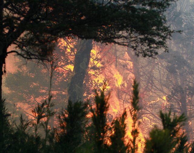 Argentina declara la situación de "emergencia" por los incendios forestales
