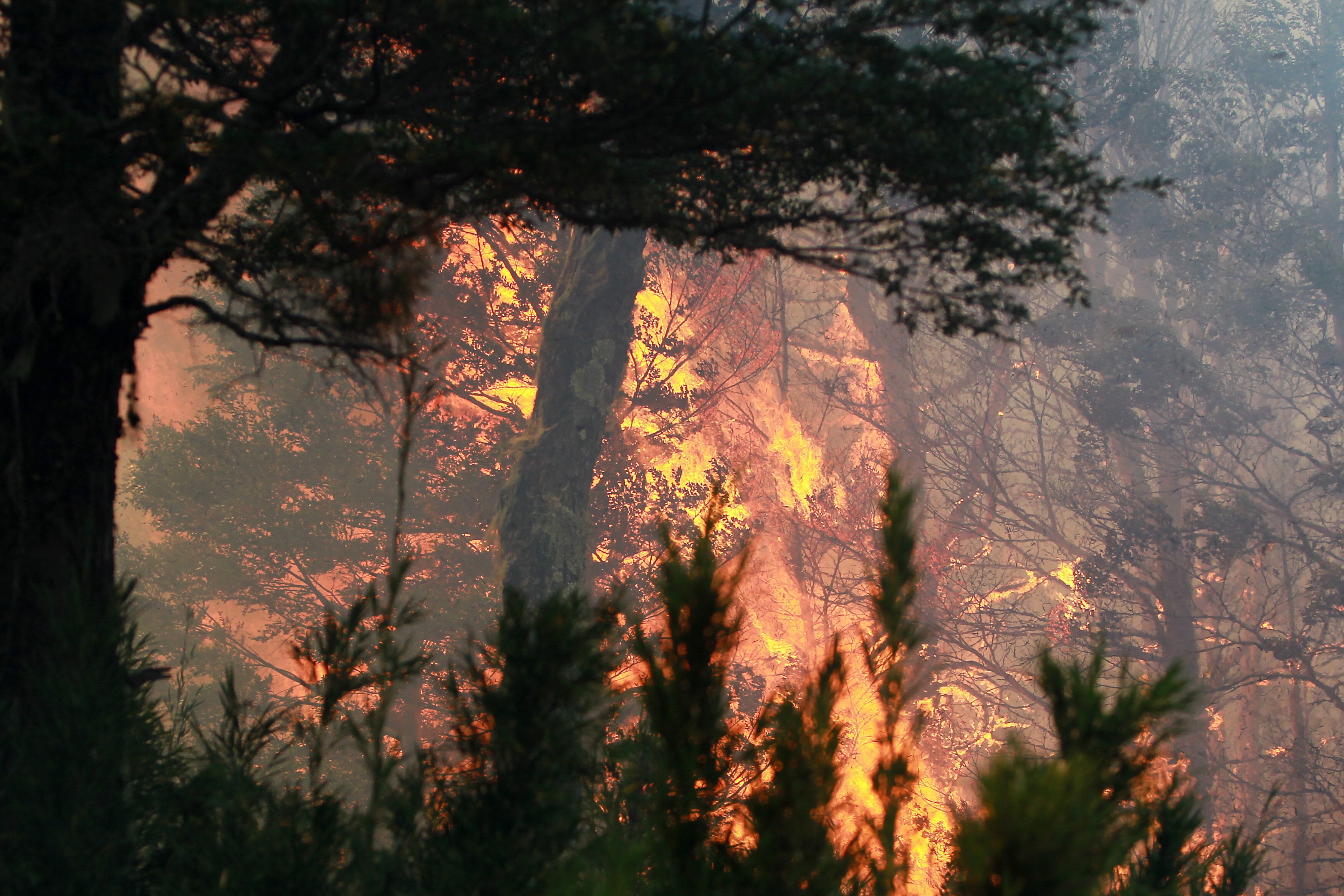 Vista de un incendio forestal, en una fotografía de archivo. EFE/Mario Ruiz 