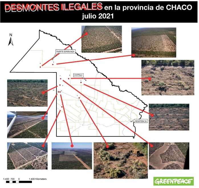 desforestación ilegal Santiago del Estero