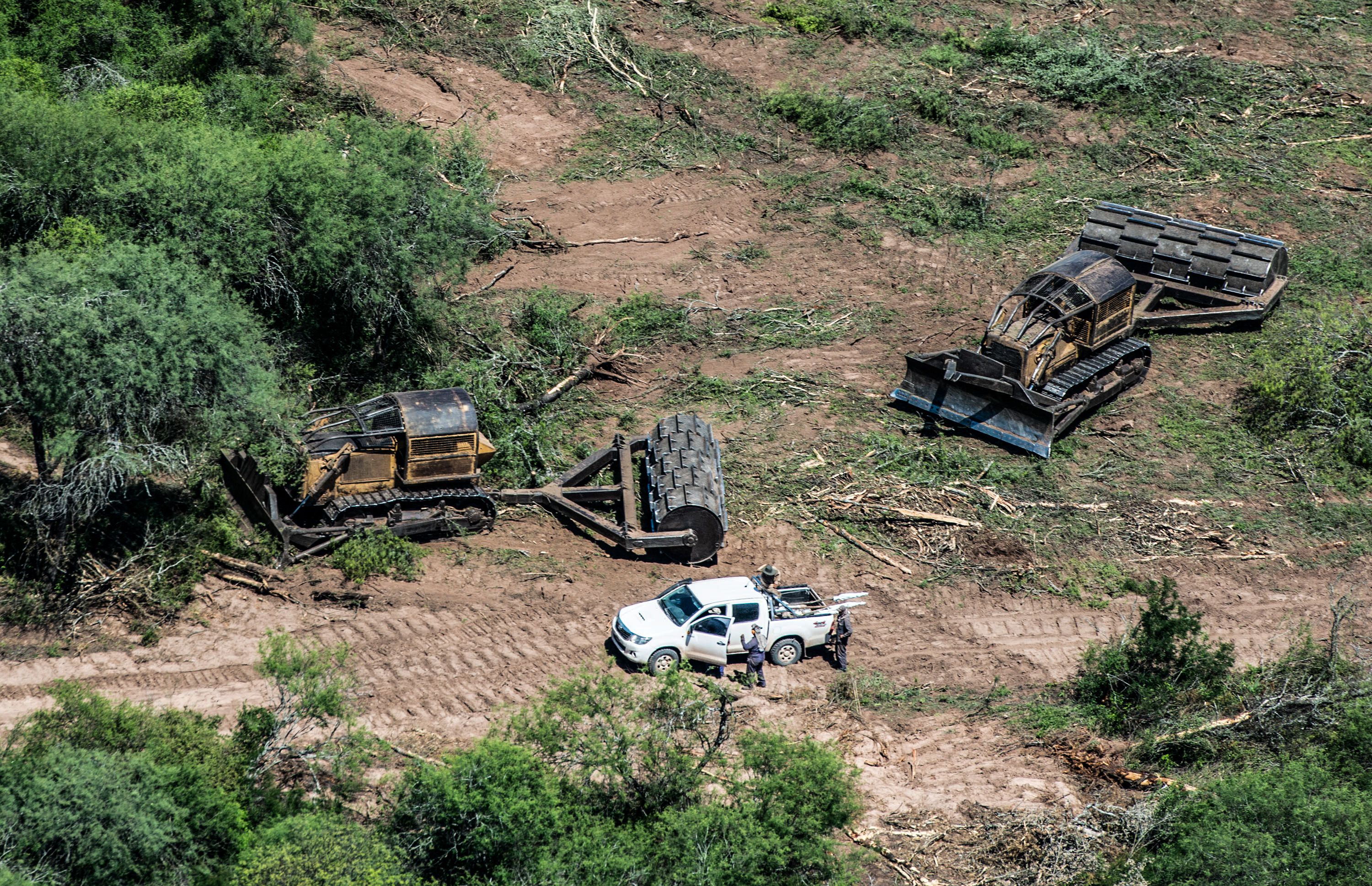 desforestación ilegal Santiago del Estero