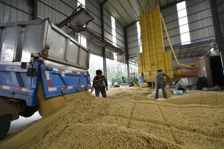Futuros de harina de soja en China suben a récord por escasez de suministros