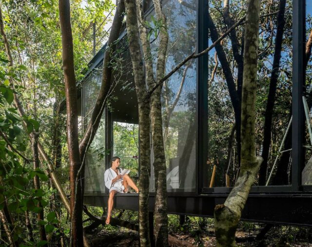 La casa de cristal en medio de la selva maya donde puedes alojarte con Airbnb