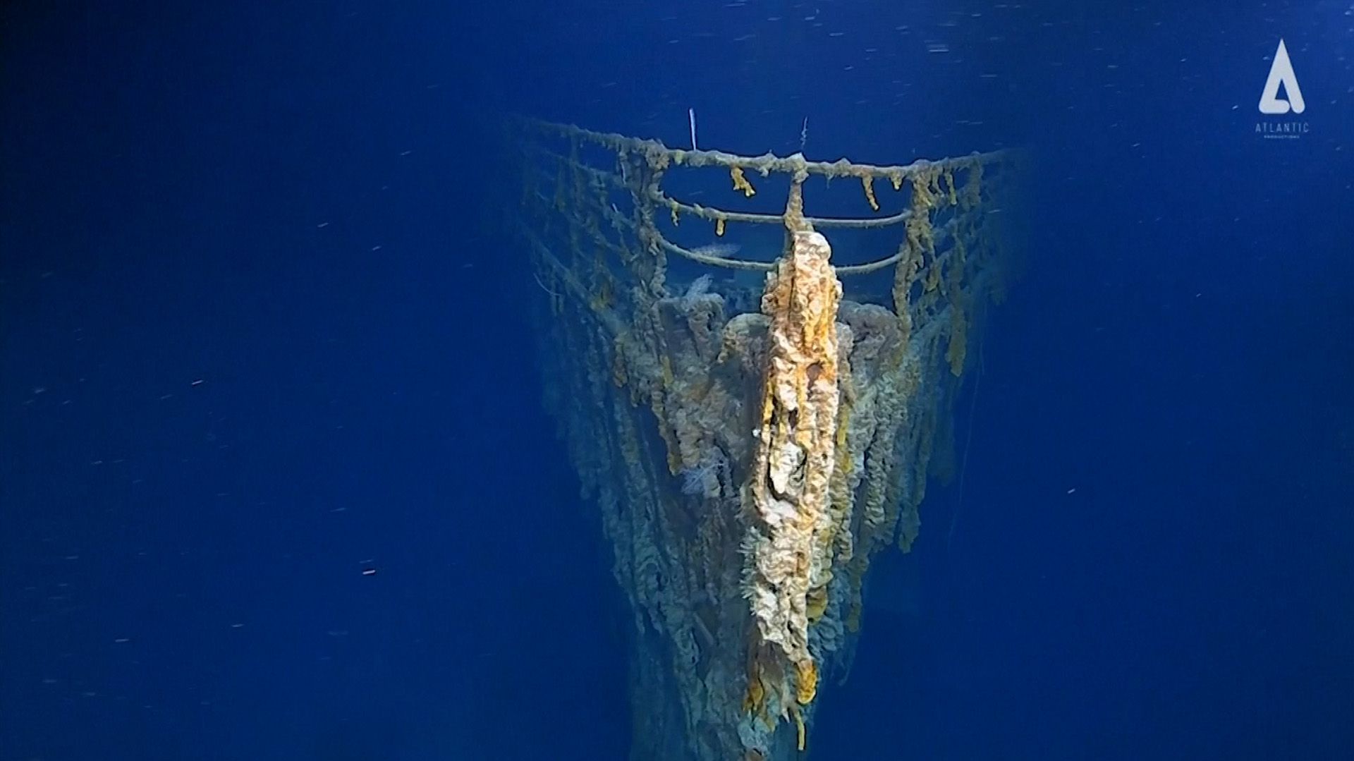 Las inmersiones se realizaron utilizando un sumergible de 4,6 metros de largo y 3,7 metros de ancho, llamado DSV Limiting Factor y construido por la empresa estadounidense Triton Submarines