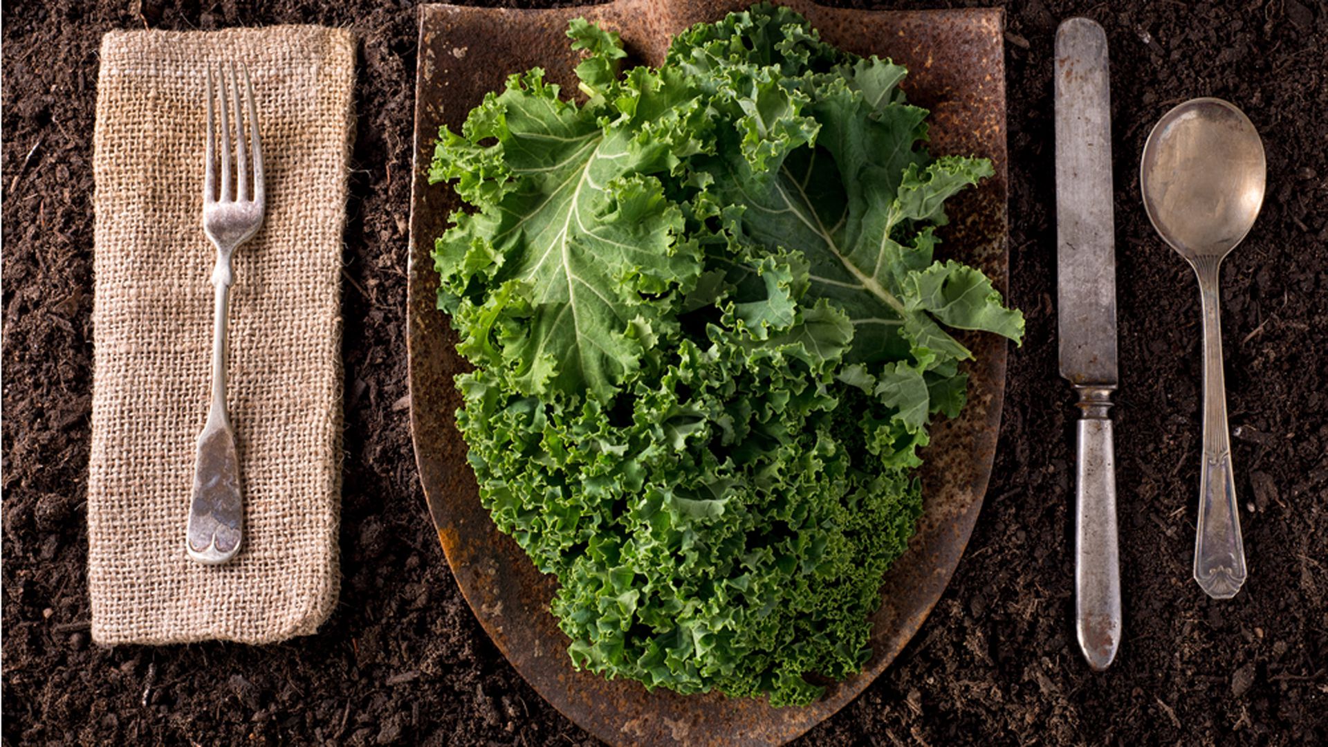 El kale tiene tantos beneficios como posibilidades a la hora de consumirlo