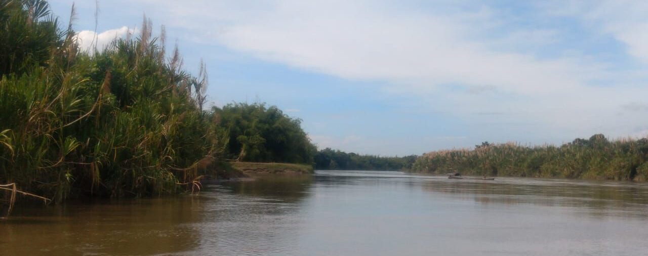 Superposición entre títulos mineros y zonas de interés ambiental en la Cuenca del Río La Vieja Eje Cafetero: así se encuentra la investigación