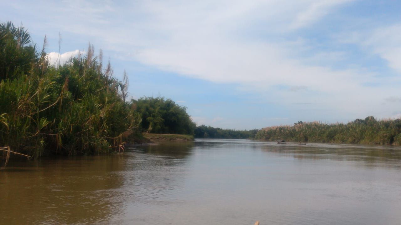 Río La Vieja.