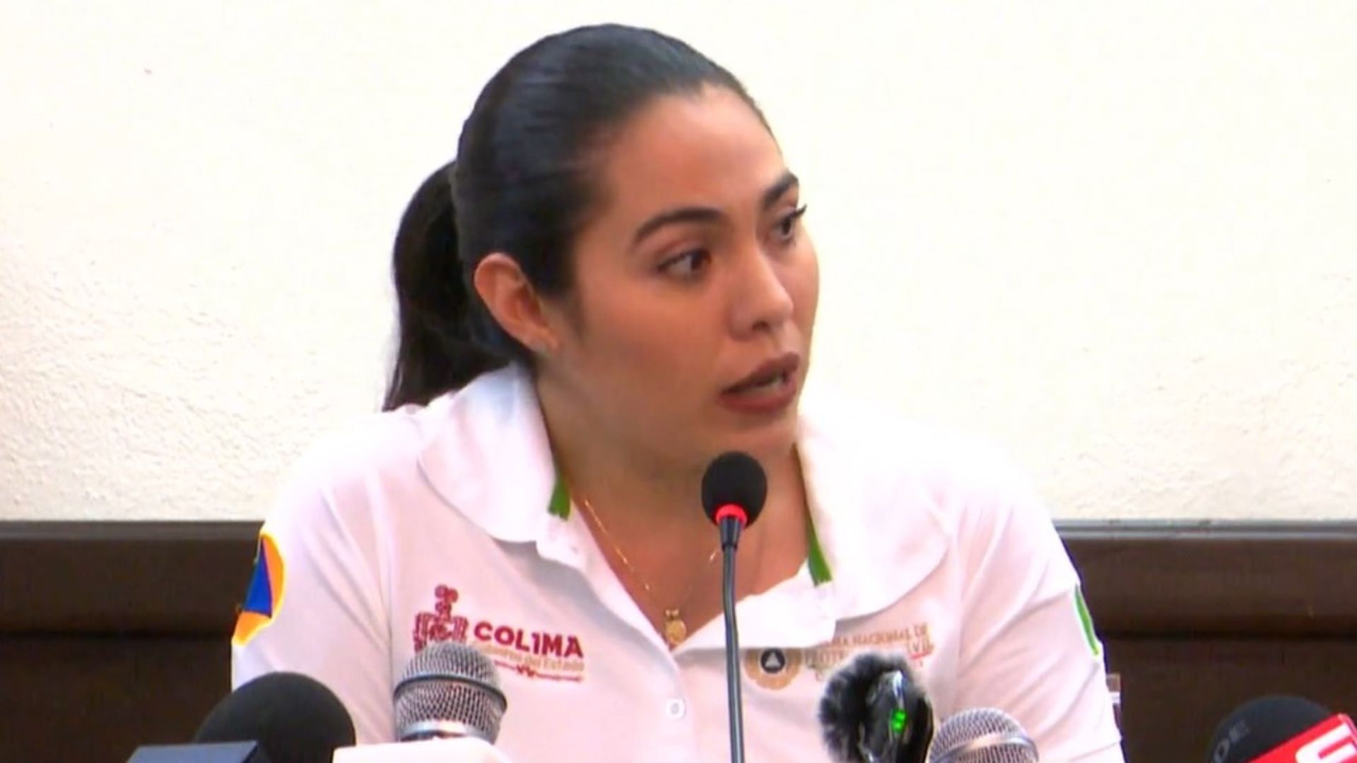 Vizcaíno respaldó la Reforma Electoral durante la conferencia matutina de este 23 de noviembre. (Captura: Facebook/Indira Vizcaíno)