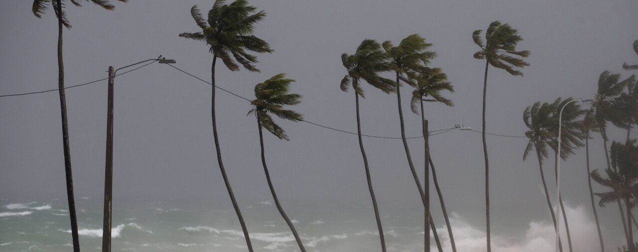 Clima en Houston: cuál será la temperatura máxima y mínima este 15 de enero
