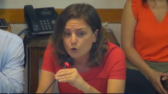 El fuerte cruce entre la diputada Vanesa Siley y Mario Negri: “No le concedo la palabra por machirulo”