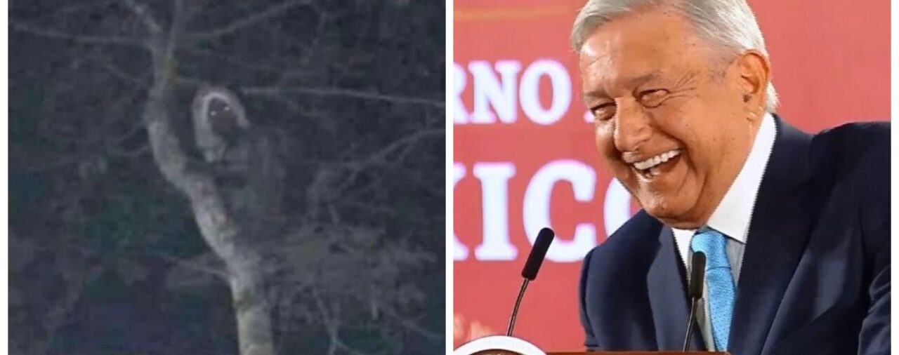 Foto de “Aluxe” que compartió AMLO fue difundida en 2021 como una supuesta bruja captada en Nuevo León