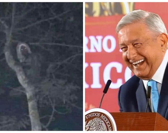 Foto de “Aluxe” que compartió AMLO fue difundida en 2021 como una supuesta bruja captada en Nuevo León