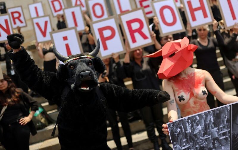 Día clave para el proyecto de ley para prohibir las corridas de toros, que llega con una nueva controversia