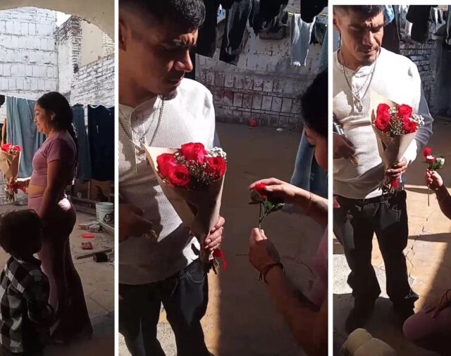 Una mujer sorprendió a su novio con una propuesta de matrimonio y recibió elogios en las redes